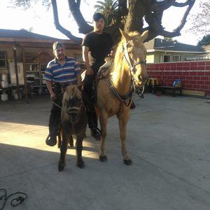 Meet your Posher, Luis